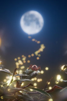 Swing to the Moon