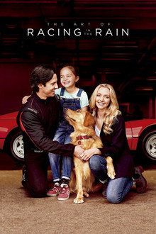 The Art of Racing in the Rain