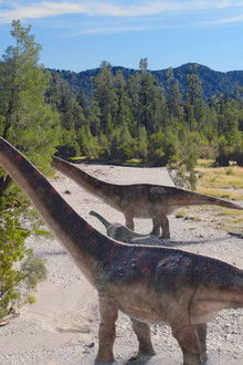 Die-Dinosaurier-vom-Südpol