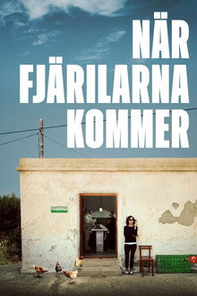 När fjärilarna kommer