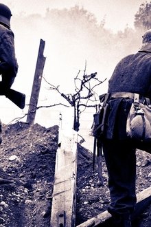 Die-großen-Geheimnisse-der-Geschichte