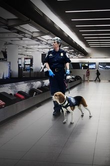 To-Catch-a-Smuggler