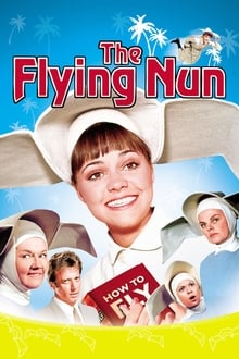 The Flying Nun tv show poster