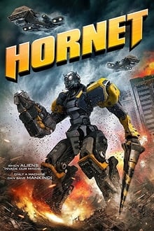 Poster do filme Hornet