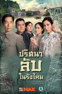 ปริศนาลับ ในรังไหม