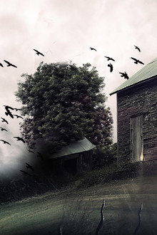 The House That Screamed