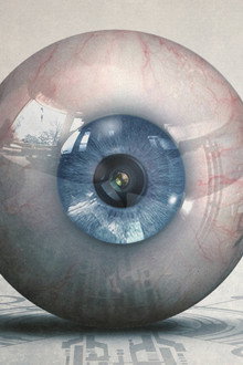 The Gracefield Incident