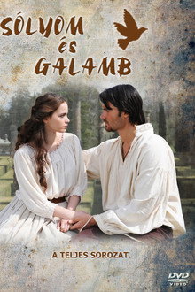 Sólyom és galamb