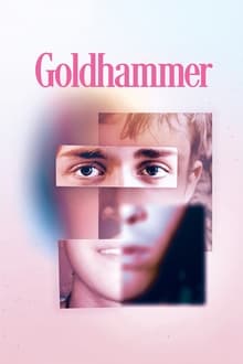 Poster do filme Goldhammer