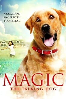 Poster do filme Magic