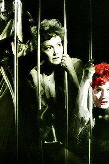 Lady in a Cage