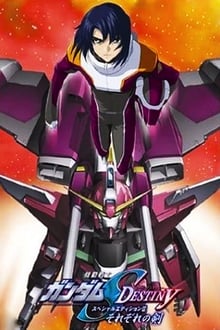Poster do filme Mobile Suit Gundam SEED Destiny TV Movie II: Their Respective Swords