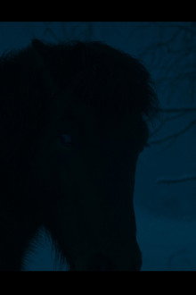 Kosmos