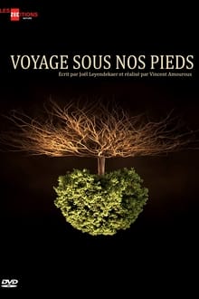 Poster da série Voyage sous nos pieds