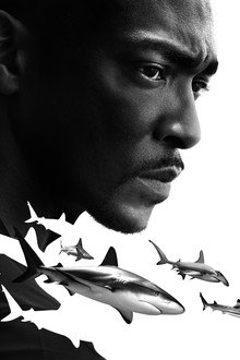 Shark Beach with Anthony Mackie