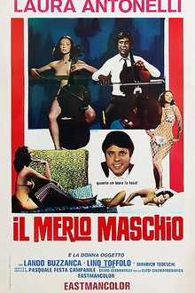 Il merlo maschio