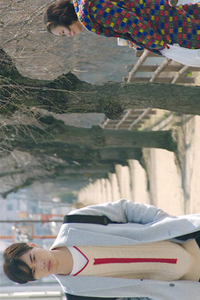 Sayonara wo Kimeta Hi