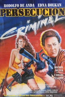 Persecución criminal