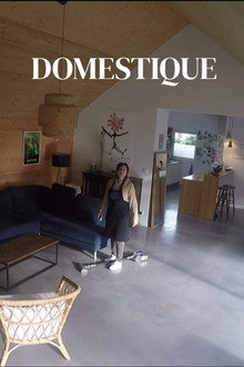 Domestique