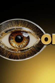 Oog om Oog