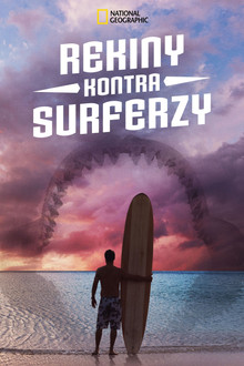 Rekiny kontra surferzy