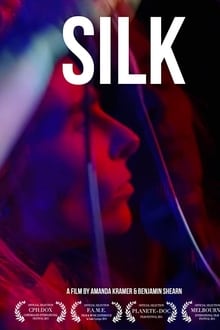 Poster do filme Silk