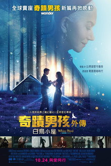 白鸟：奇迹