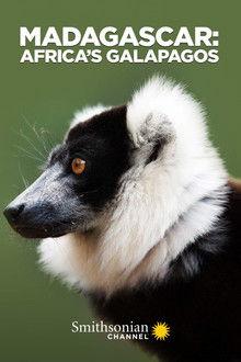 Niezwykła przyroda Madagaskaru