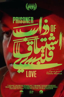 Prisoner of Love