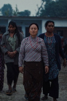 तिनीहरू
