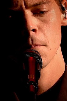 Harry Styles: Are You Curious?