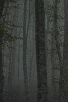 Refuge II: The Ice Path