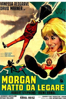 Morgan matto da legare