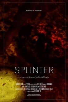 Poster do filme Splinter