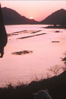 火まつり
