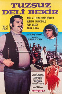 Tuzsuz Deli Bekir