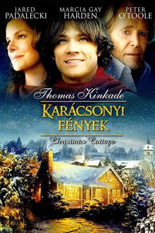 Karácsonyi fények