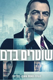עונה 11