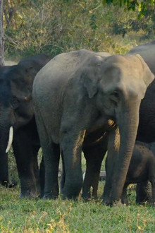 Kui Buri: Thailand's Hidden Eden