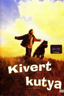 Kivert kutya