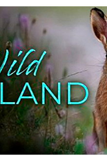 Holland: Natuur in de Delta