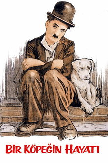 Bir Köpeğin Hayatı