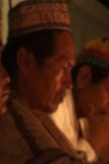 L'Ayahuasca, le serpent et moi