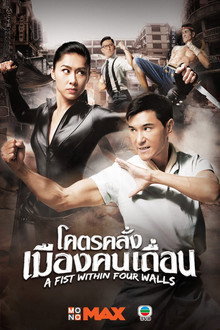 ฤทธิ์หมัดถล่มเมือง