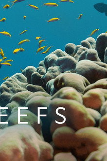 Super Reefs