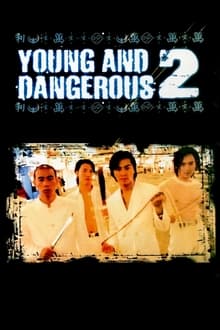 Young and Dangerous 2 movie poster