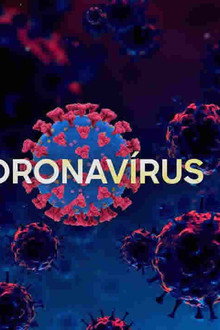 Coronavírus: Como Tudo Começou