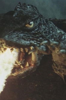 Godzilla---Der-Drache-aus-dem-Dschungel