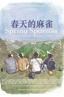春天的麻雀