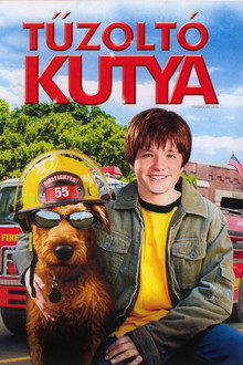 Tűzoltó kutya